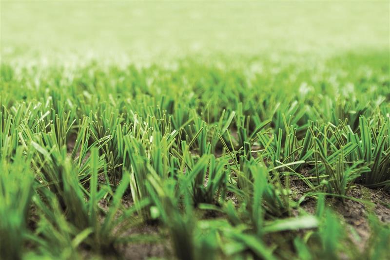 hybrid-grass-football-pitch-greenfields